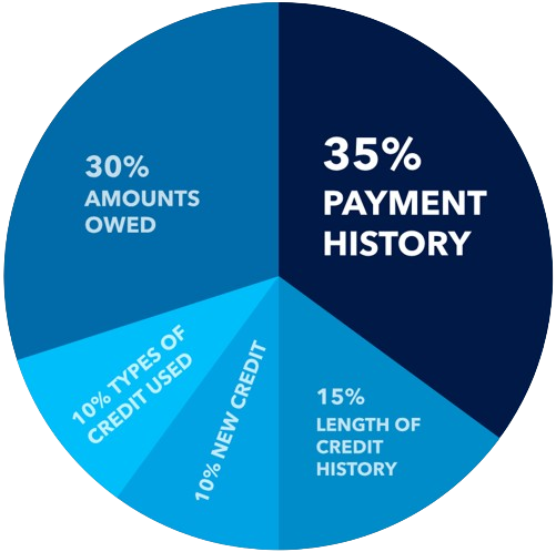 Payment Report